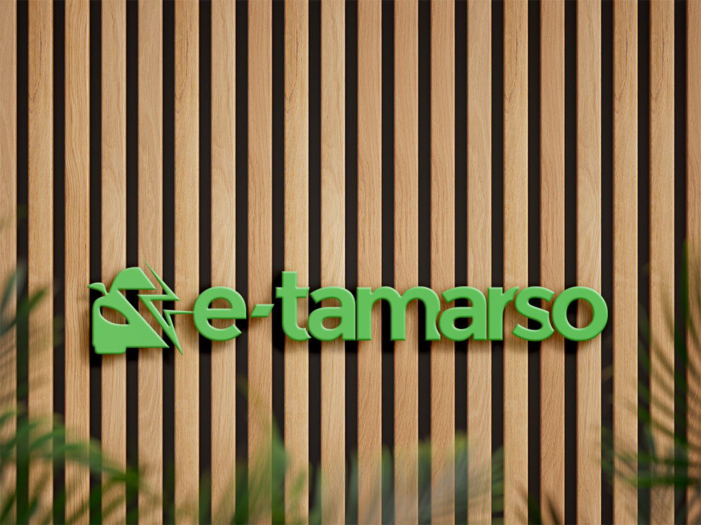 eTAMARSO Group – Logo & Website Design
