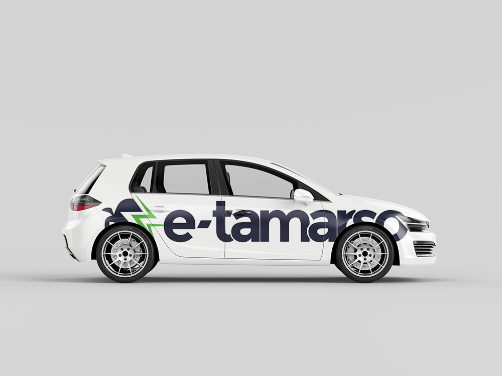 eTAMARSO Group – Logo & Website Design